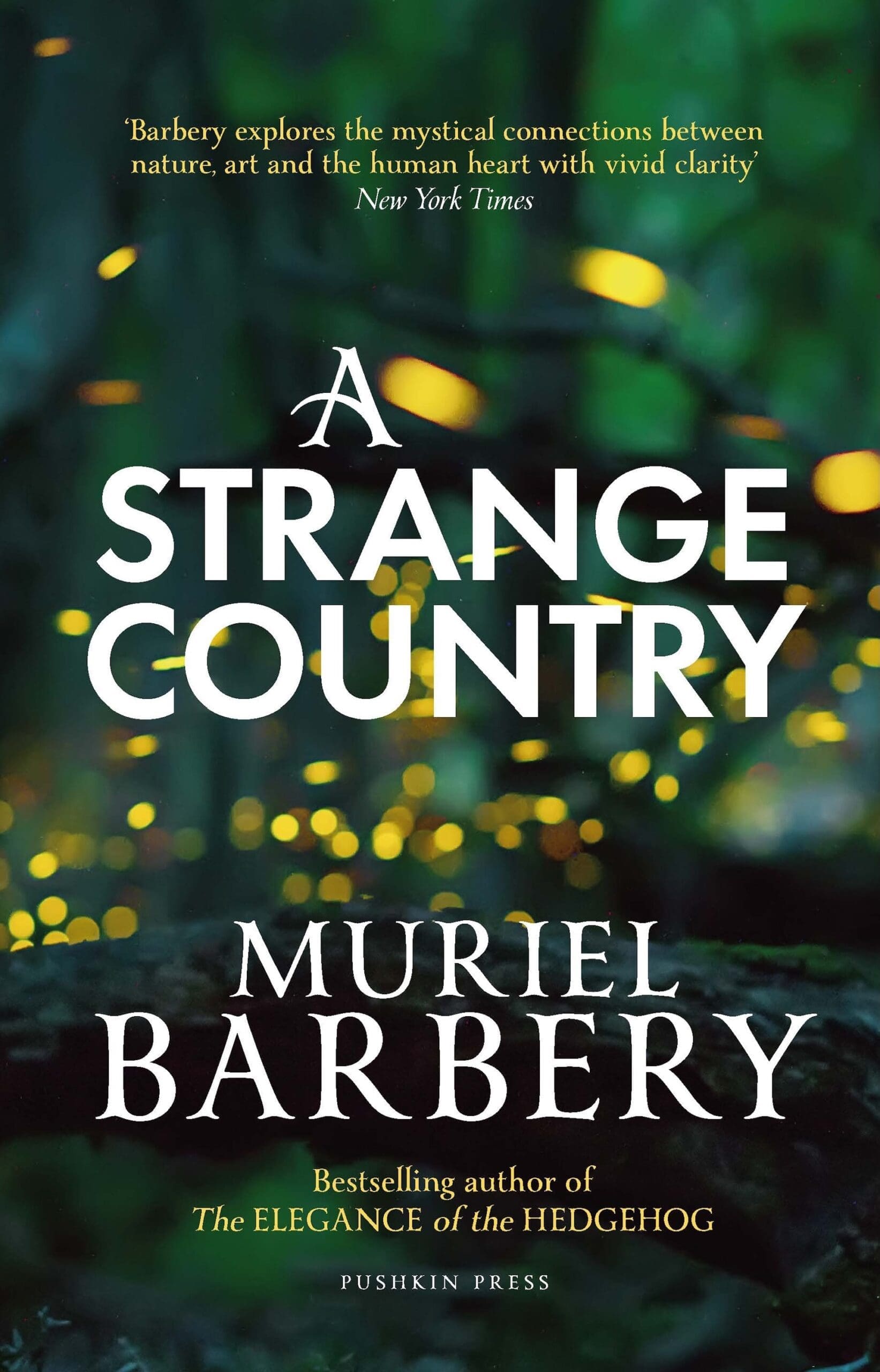 A Strange Country by Muriel Barbery | Pushkin Press